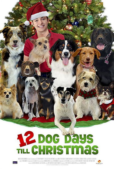 12 Dog Days of Christmas