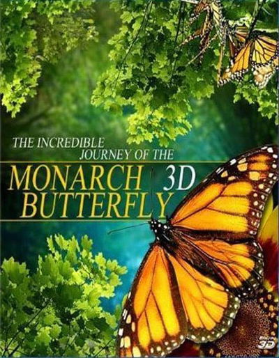 Flight of the Monarch Butterfly