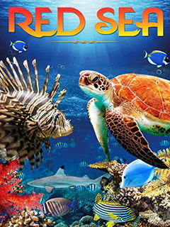Red Sea (2016)