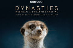 Meerkat: A Dynasties Special (2020)