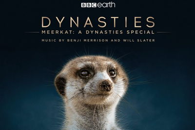 Meerkat: A Dynasties Special