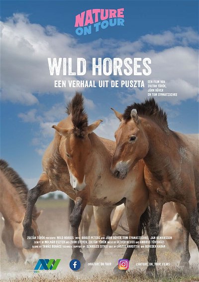Nature on Tour: Wild Horses