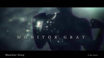 Monitor Gray