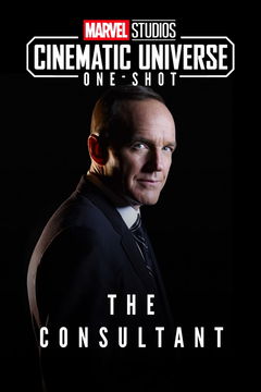 The Consultant (2011)