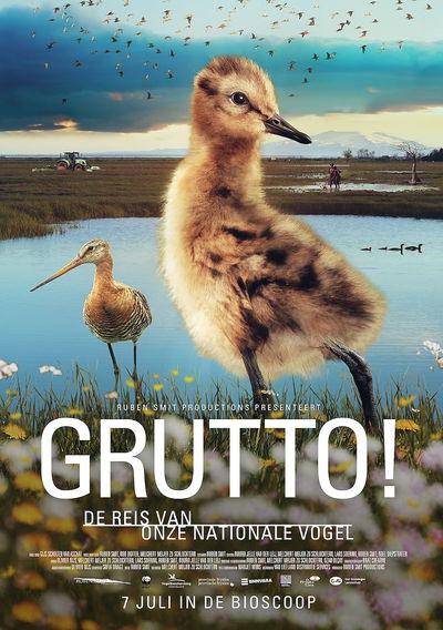 Grutto! De Reis van onze Nationale Vogel