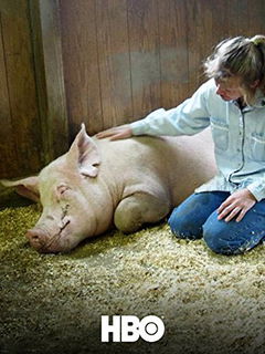 Death on a Factory Farm (2009)