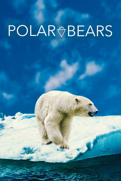 Polar Bears