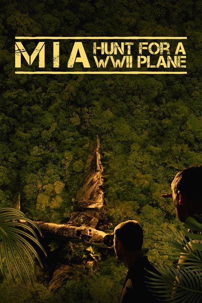 MIA: Hunt for a WWII Plane