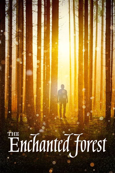 The Enchanted Forest