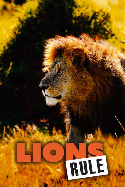 Lions Rule