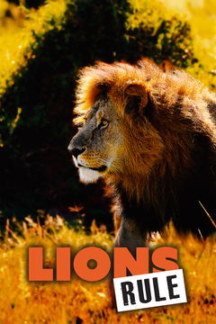 Lions Rule (2020)