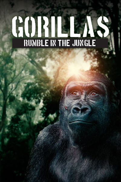 Gorillas Rumble In The Jungle