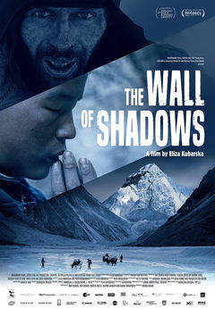 The Wall of Shadows (2020)