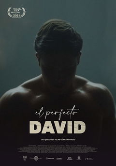 El perfecto David (2021)