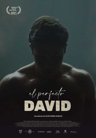 El perfecto David