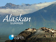 Alaskan Summer (2017)