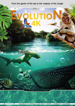 Evolution (2018)