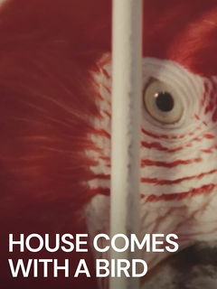 House Comes with a Bird (2022)