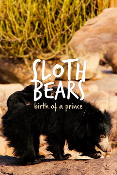 Sloth Bears: Birth Of A Prince (2020)
