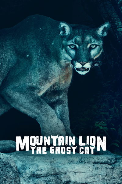 Mountain Lion: The Ghost Cat
