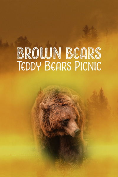 Brown Bears - Teddy Bears Picnic