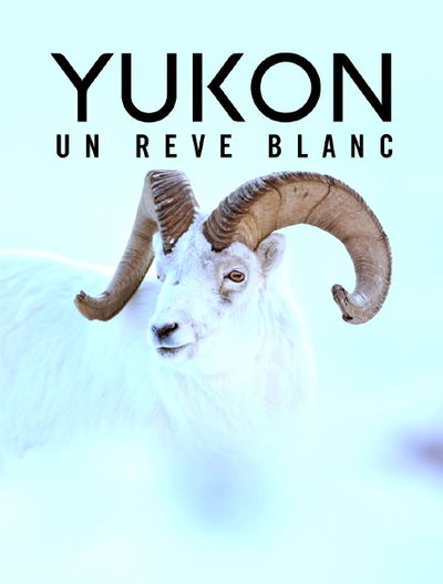 A White Dream