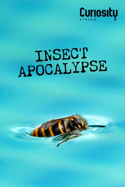 Insect Apocalypse