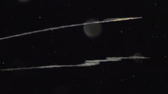 Planktonium (2021)