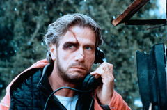 Die Wildnis (1993)