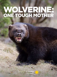 Wolverine: One Tough Mother (2021)