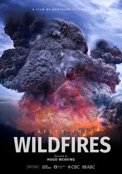 After the Wildfires (2021)