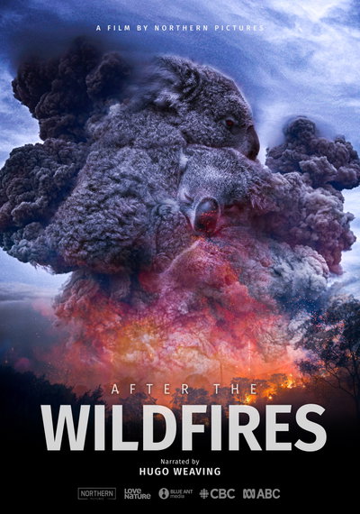 After the Wildfires