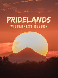 Pridelands: Wilderness Reborn (2022)