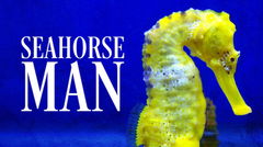 Seahorse Man (2022)
