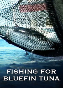 A Tutto Tonno - La Pesca del Tonno Rosso (2010)