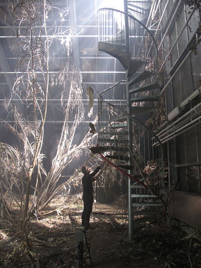 Herbarium