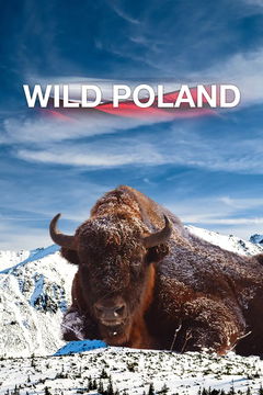 Wild Poland (2012)