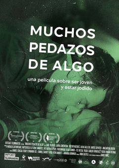 Muchos pedazos de algo (2015)