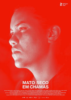 Mato seco em chamas (2022)