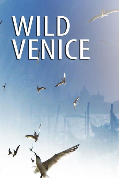Wildes Venedig