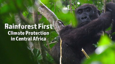 Rainforest First: Climate Protection in Central Africa
