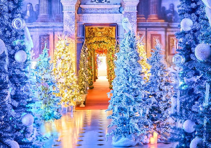 Beste Documentaires 2021 op Videoland (november 2025)