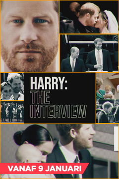 Harry: The Interview (2023)