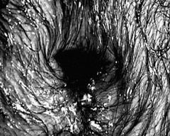 La Tempesta (2003)
