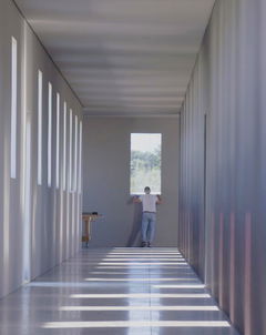 Robert Irwin: A Desert of Pure Feeling (2022)