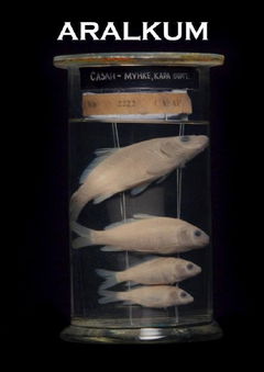 Aralkum (2022)
