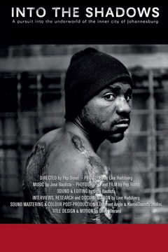 Into the Shadows (2013)