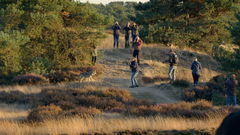 Wolvenland (2023)