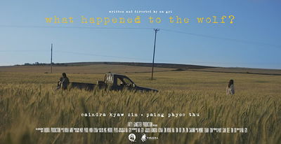 What Happened to the Wolf?