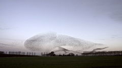 The Mystery of MS (2023)